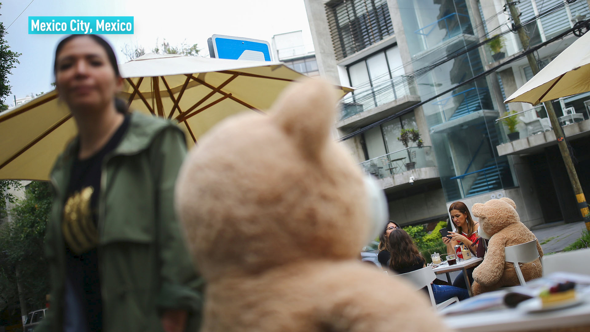 giant teddy bear mexico