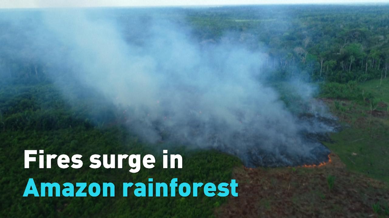 Fires spread rapidly throughout Amazon rainforest - CGTN