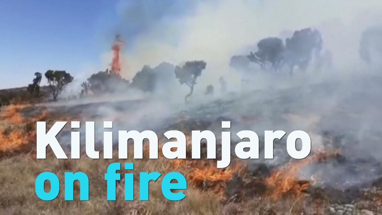 Fire on Mount Kilimanjaro CGTN