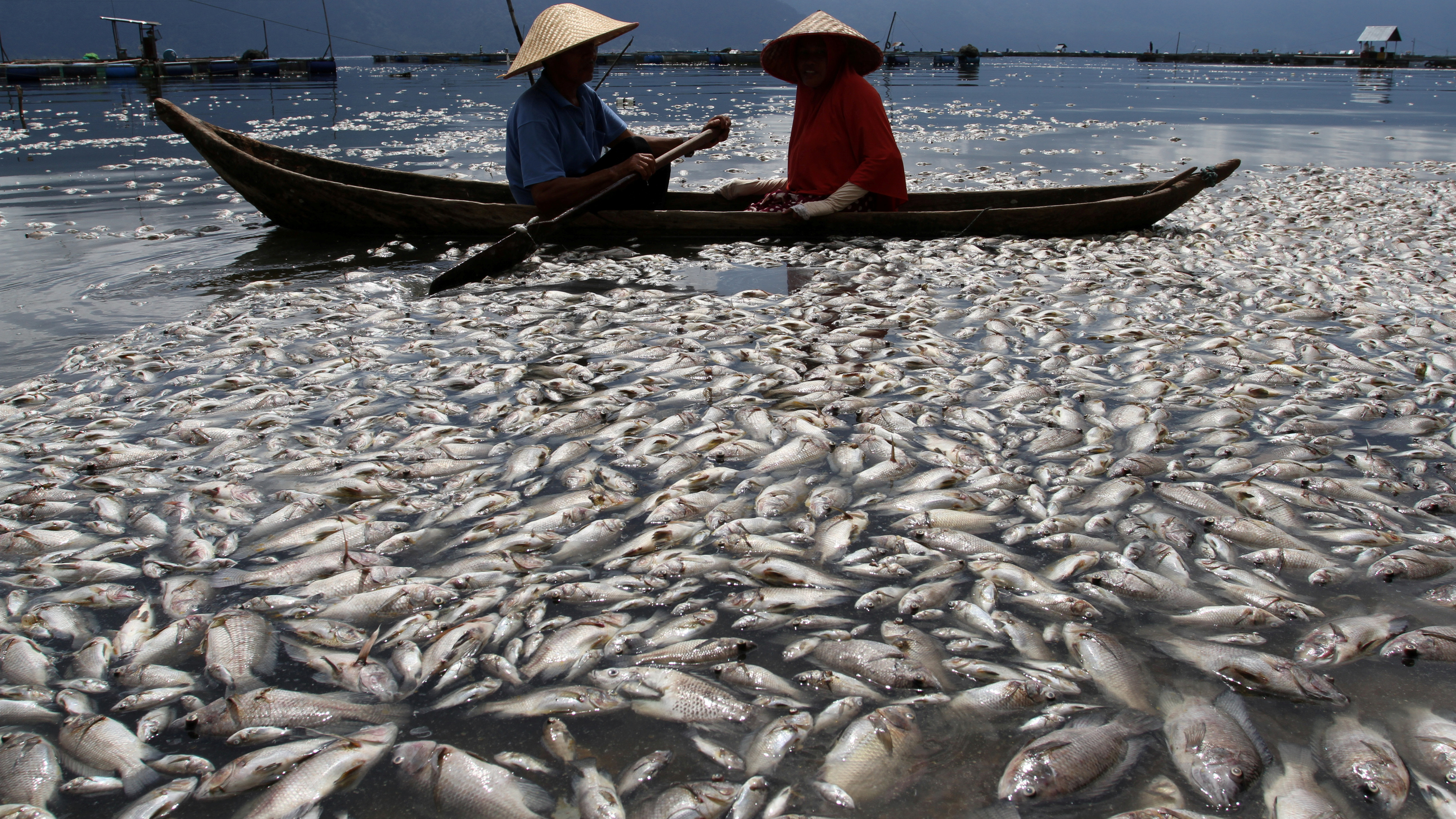 Photos of the week: April 30