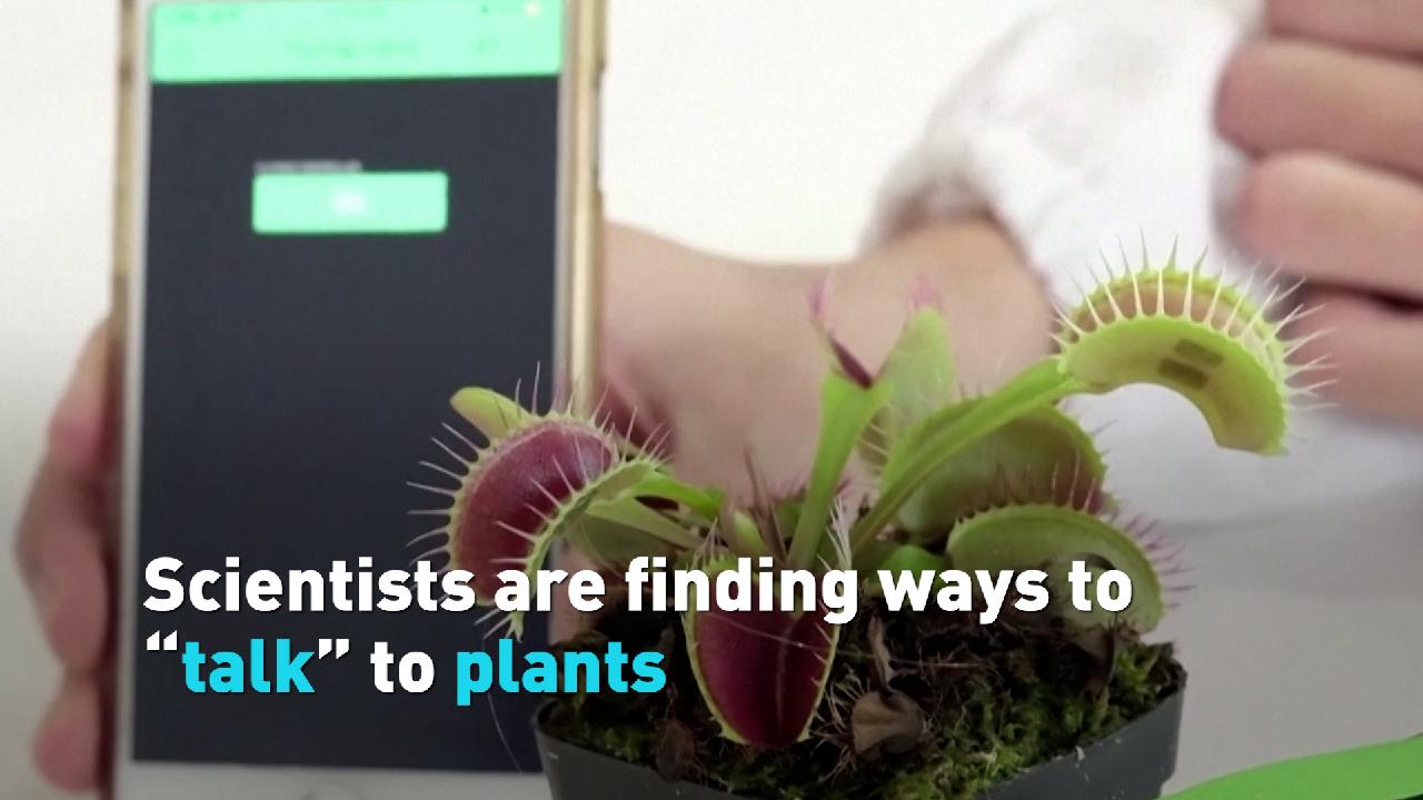Scientists are finding ways to "talk" to plants CGTN