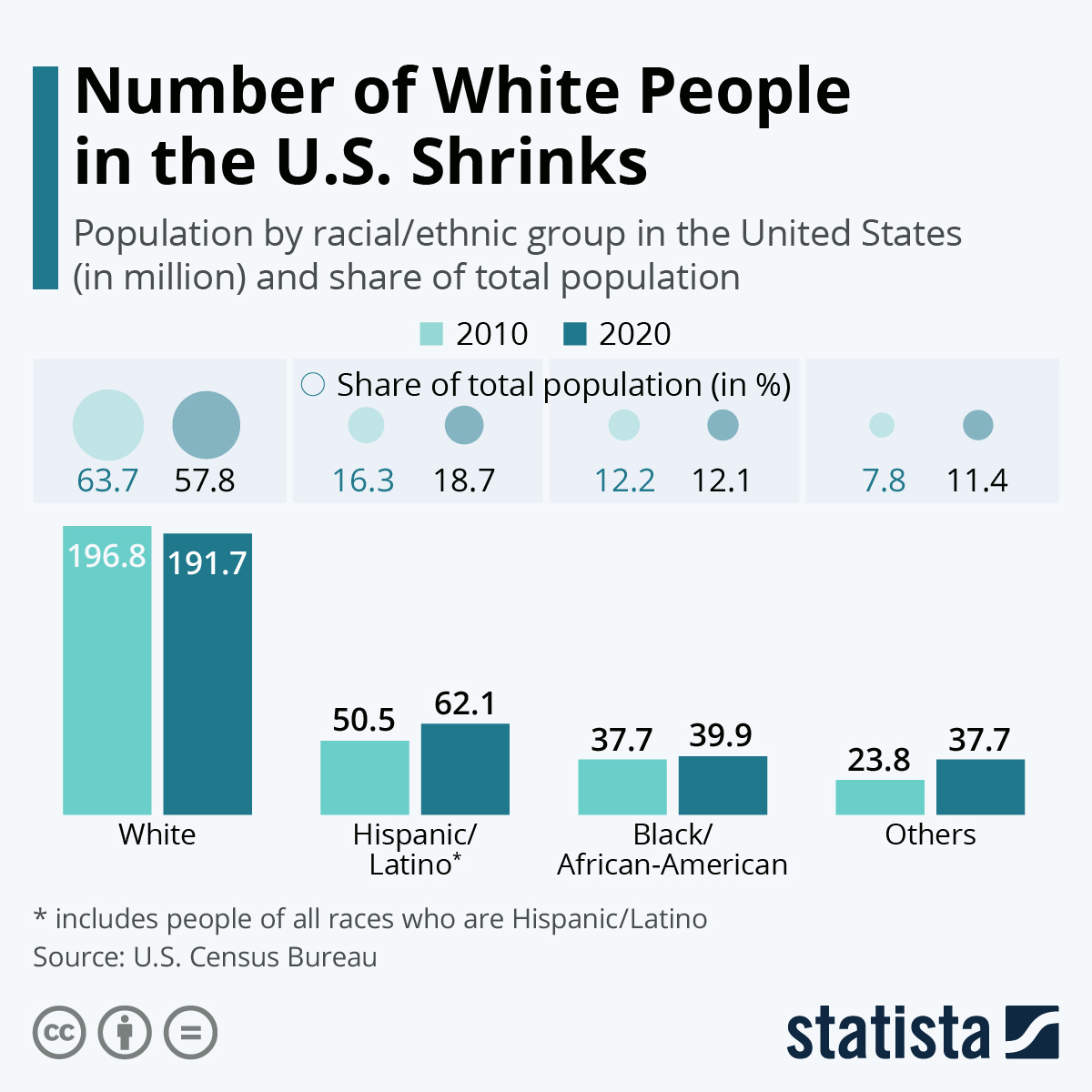 U.S. Census shows more diversity as its White population shrinks CGTN