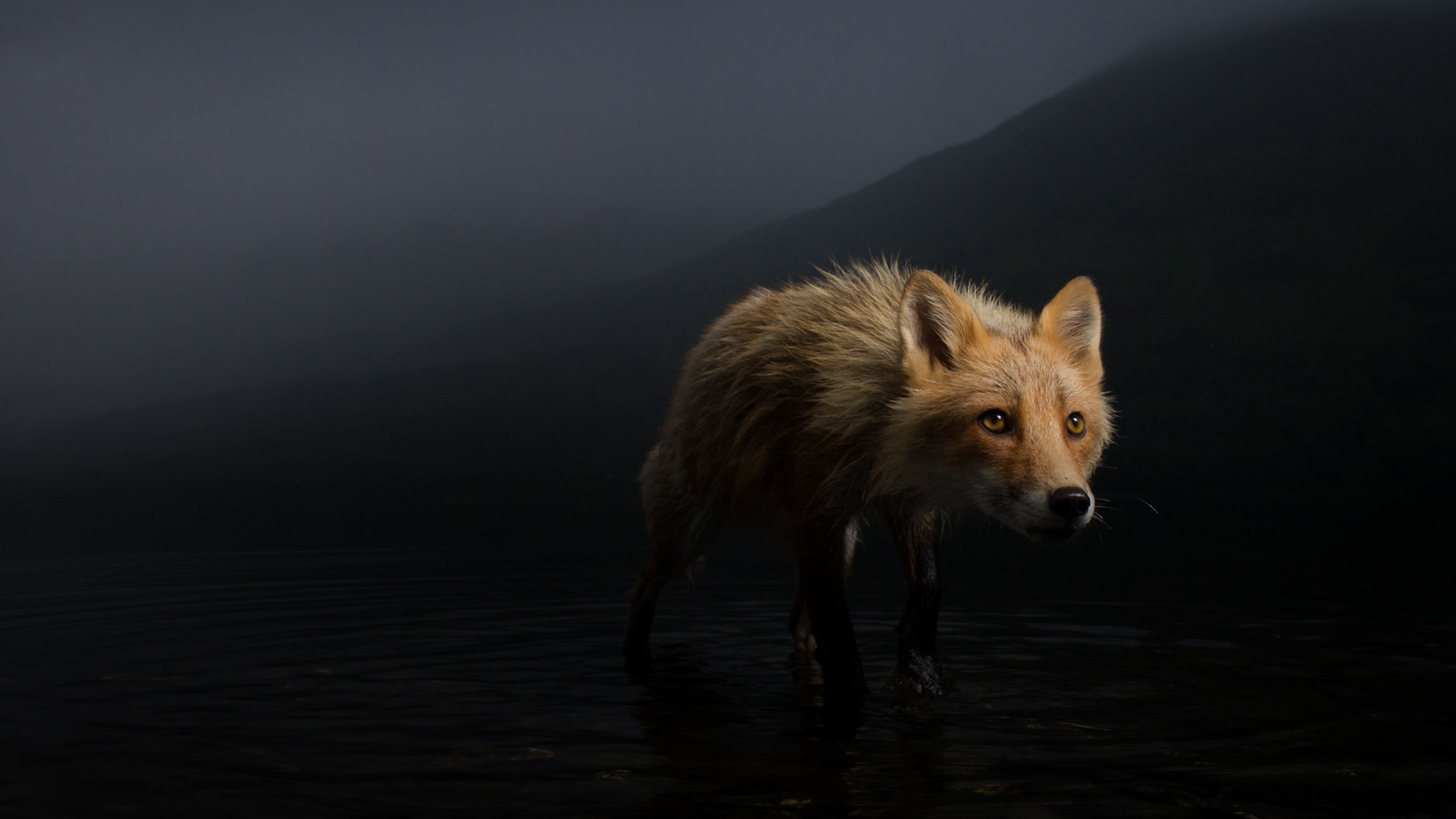 eu leaders resume top job fight with splits unresolved