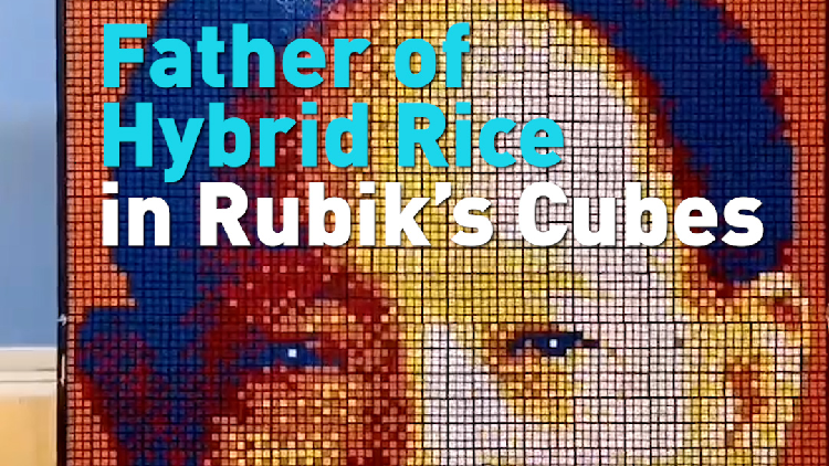 Man pays tribute to China's 