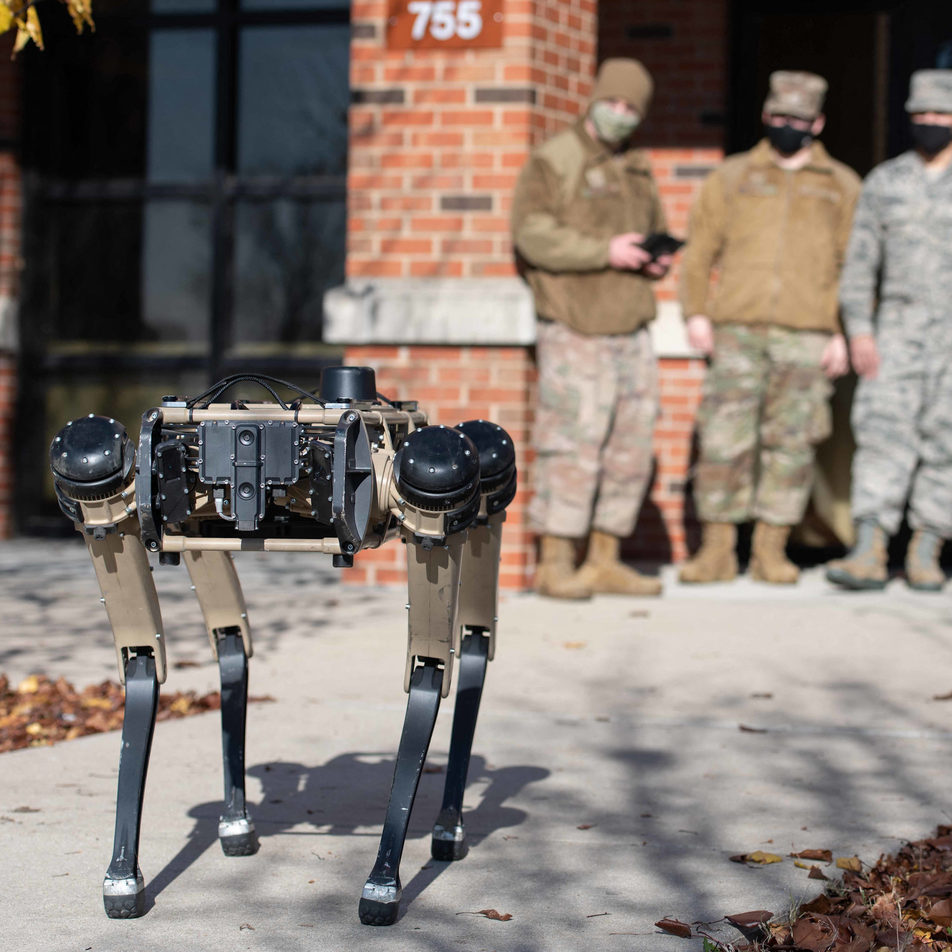 U.S. testing robot dogs at border with Mexico - CGTN