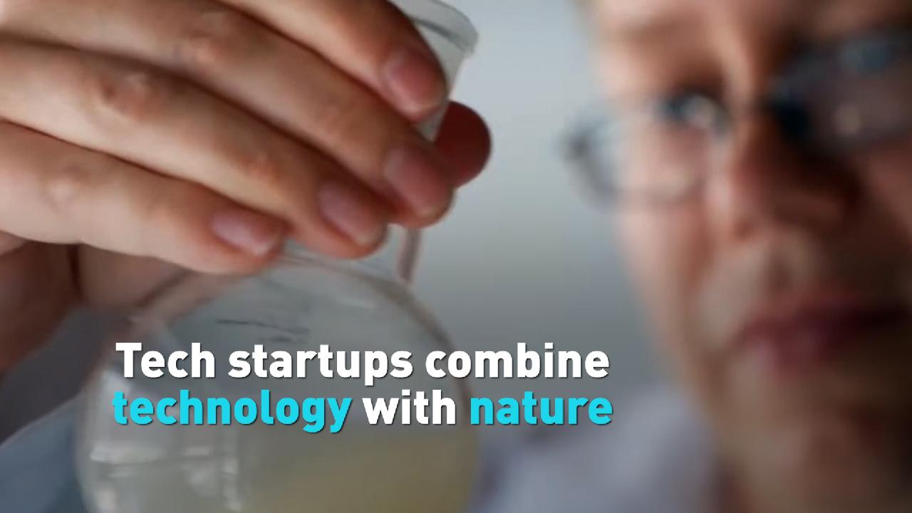 Tech startups combine Technology with nature?