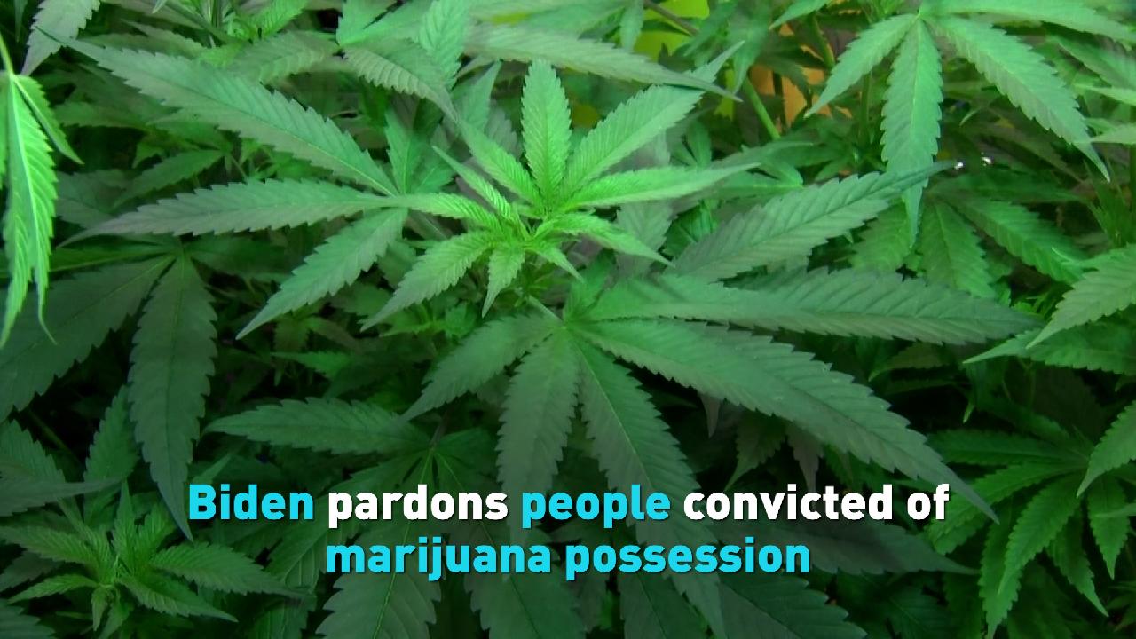 Biden Pardons People Convicted Of Marijuana Possession - CGTN