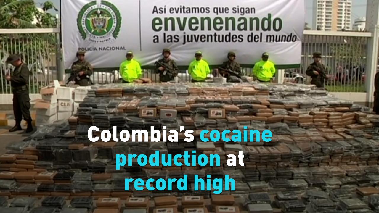 Colombias cocaine production at record high