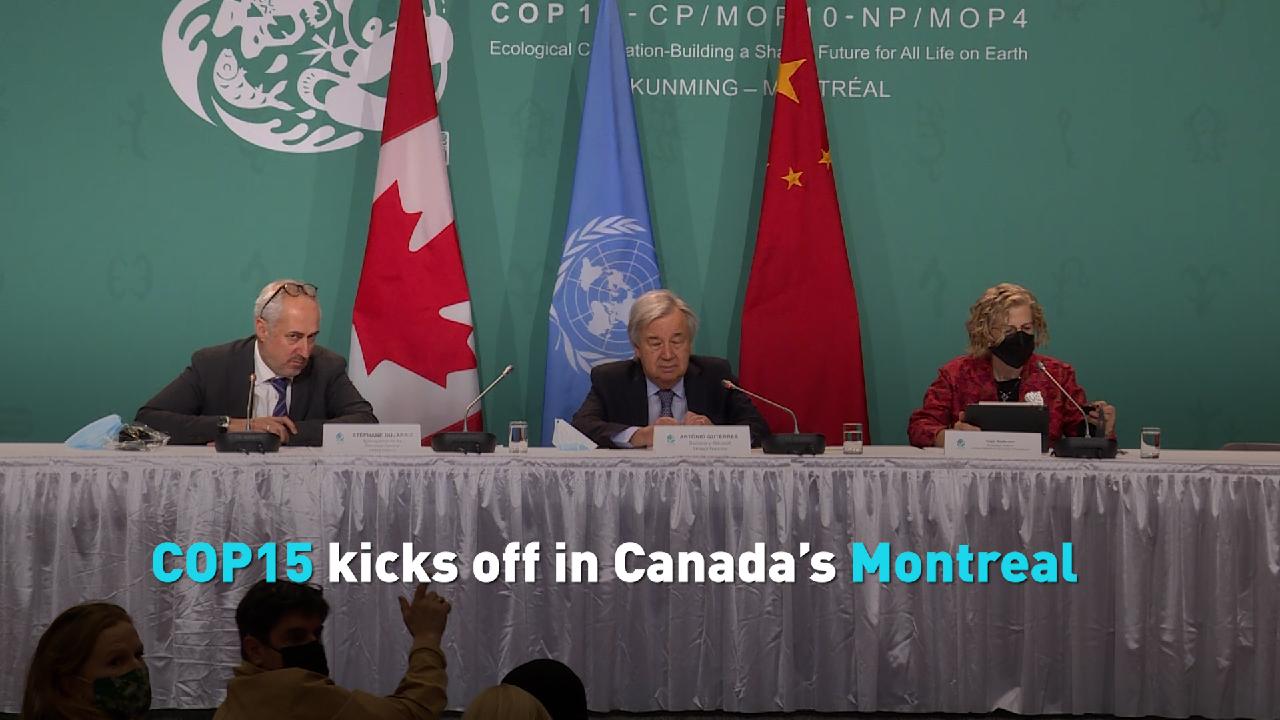 COP15 kicks off in Canada’s Montreal - CGTN