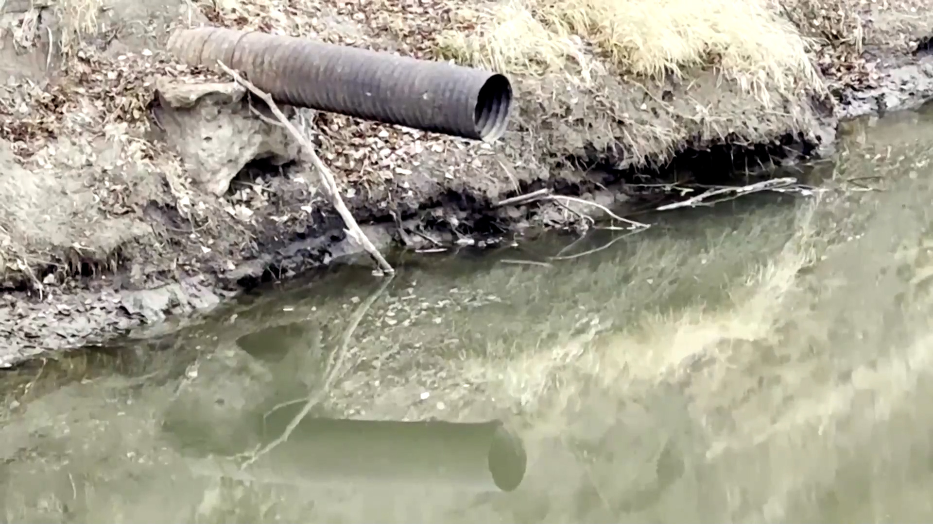 Keystone Oil Pipeline Leak Could Take Weeks to Cleanup