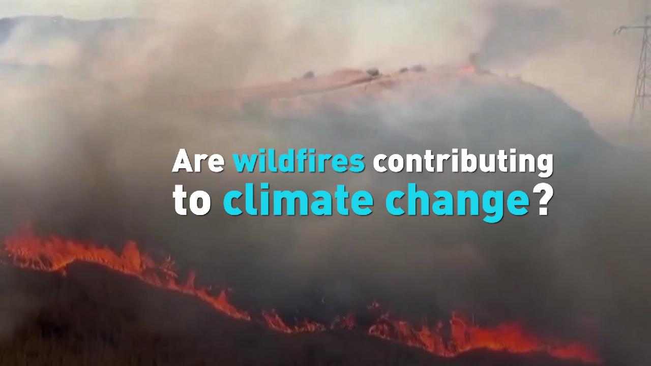 Are wildfires contributing to climate change? - newsus.cgtn.com