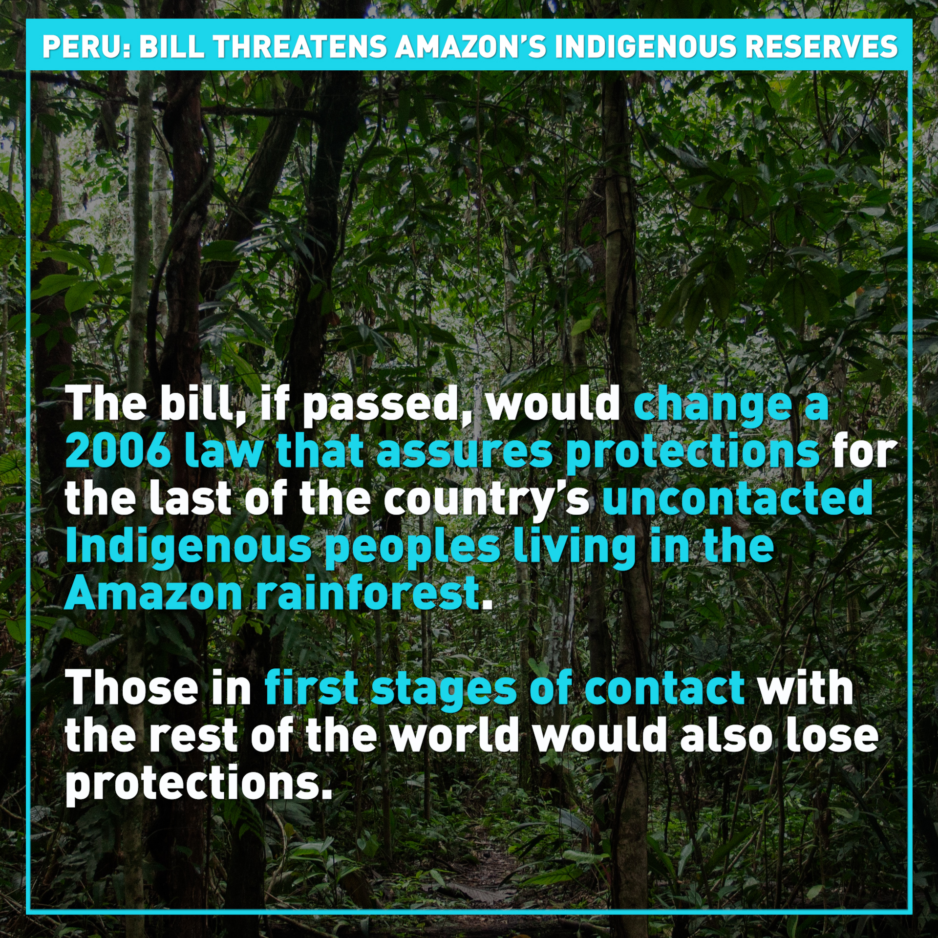 Peru's Amazon: New bill threatens Indigenous peoples' reserves 