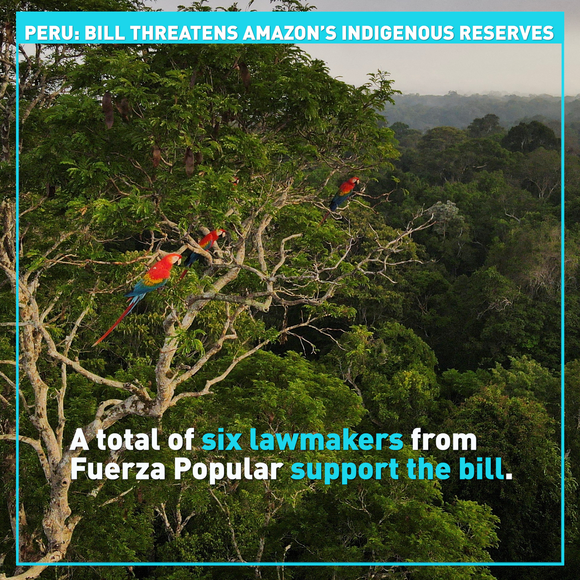 Peru's Amazon: New bill threatens Indigenous peoples' reserves 