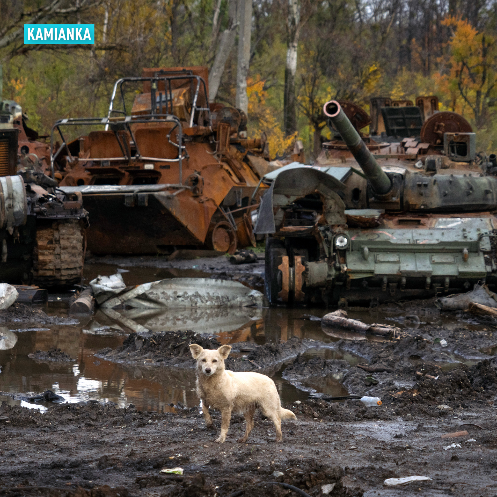 Ten photos showing one year of conflict in Ukraine
