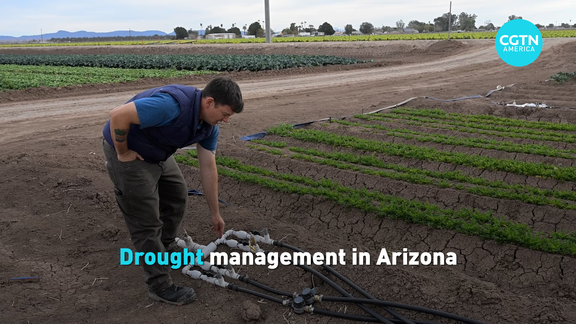 Drought management in Arizona 