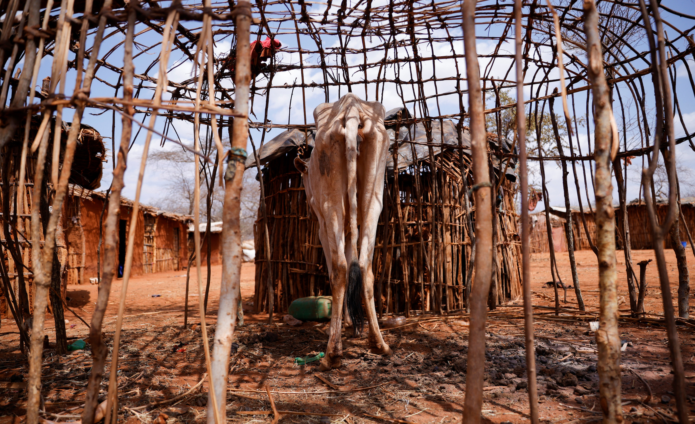 Drought threatens residents of Ethiopia’s Oromia, kills livestock
