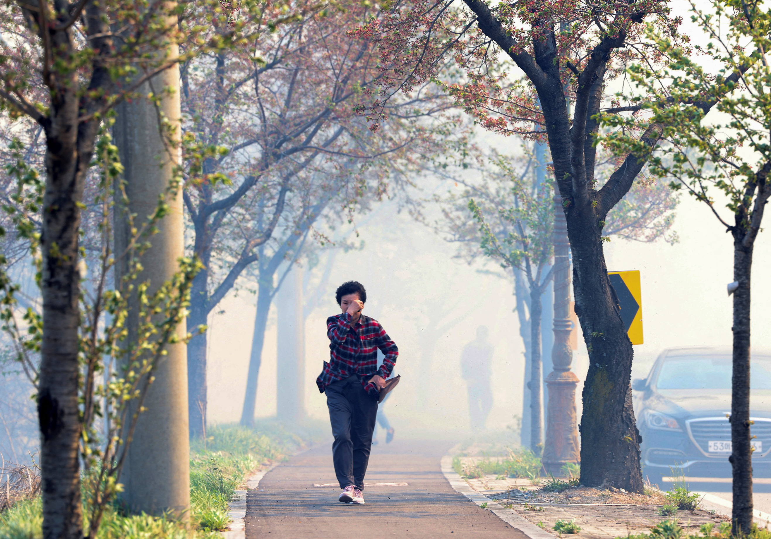 At least one dead in wildfire near coastal Gangeung, South Korea