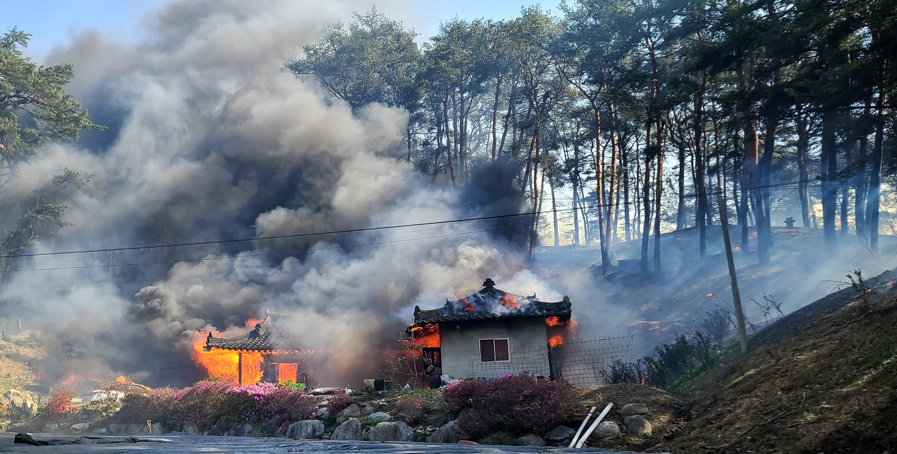 At least one dead in wildfire near coastal Gangeung, South Korea