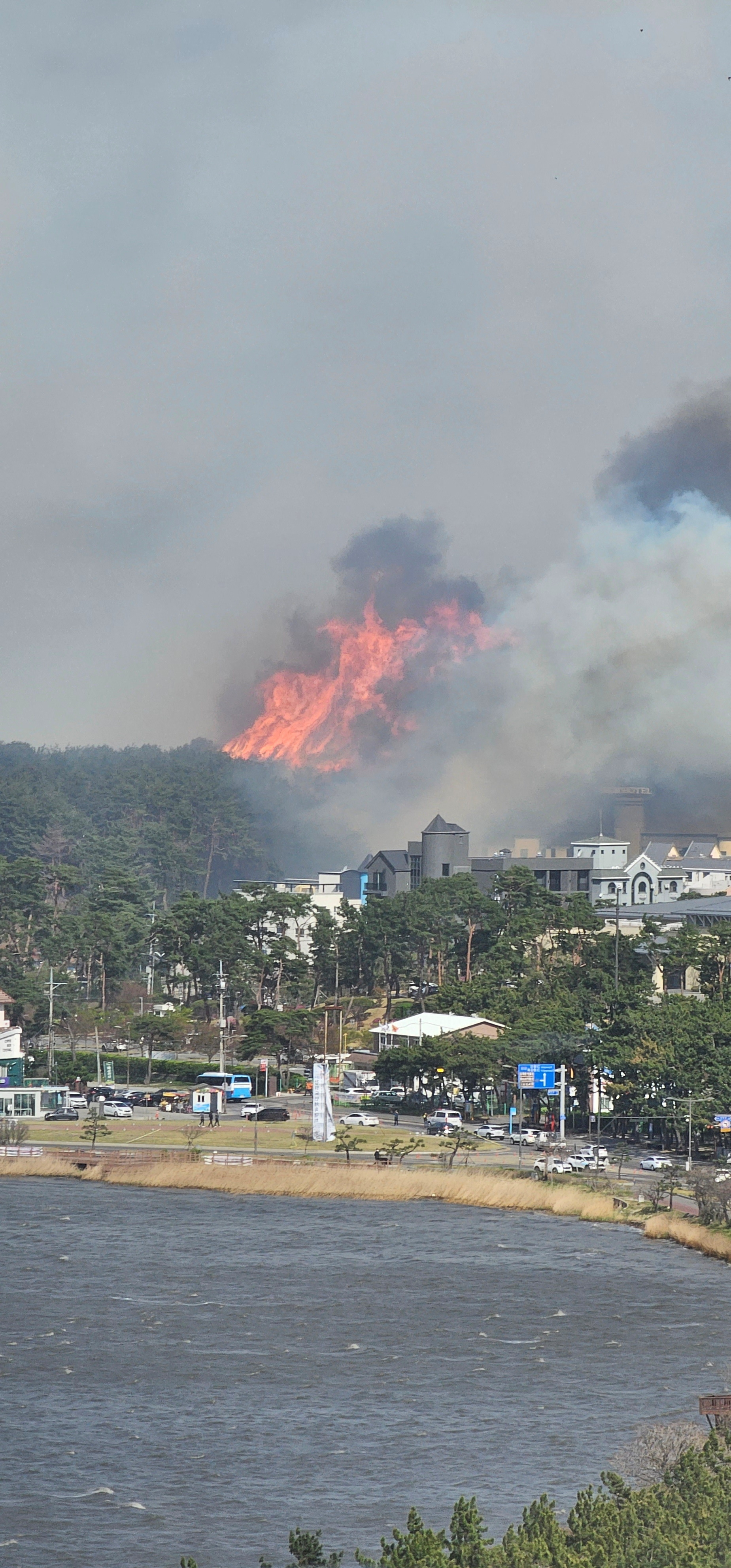 At least one dead in wildfire near coastal Gangeung, South Korea