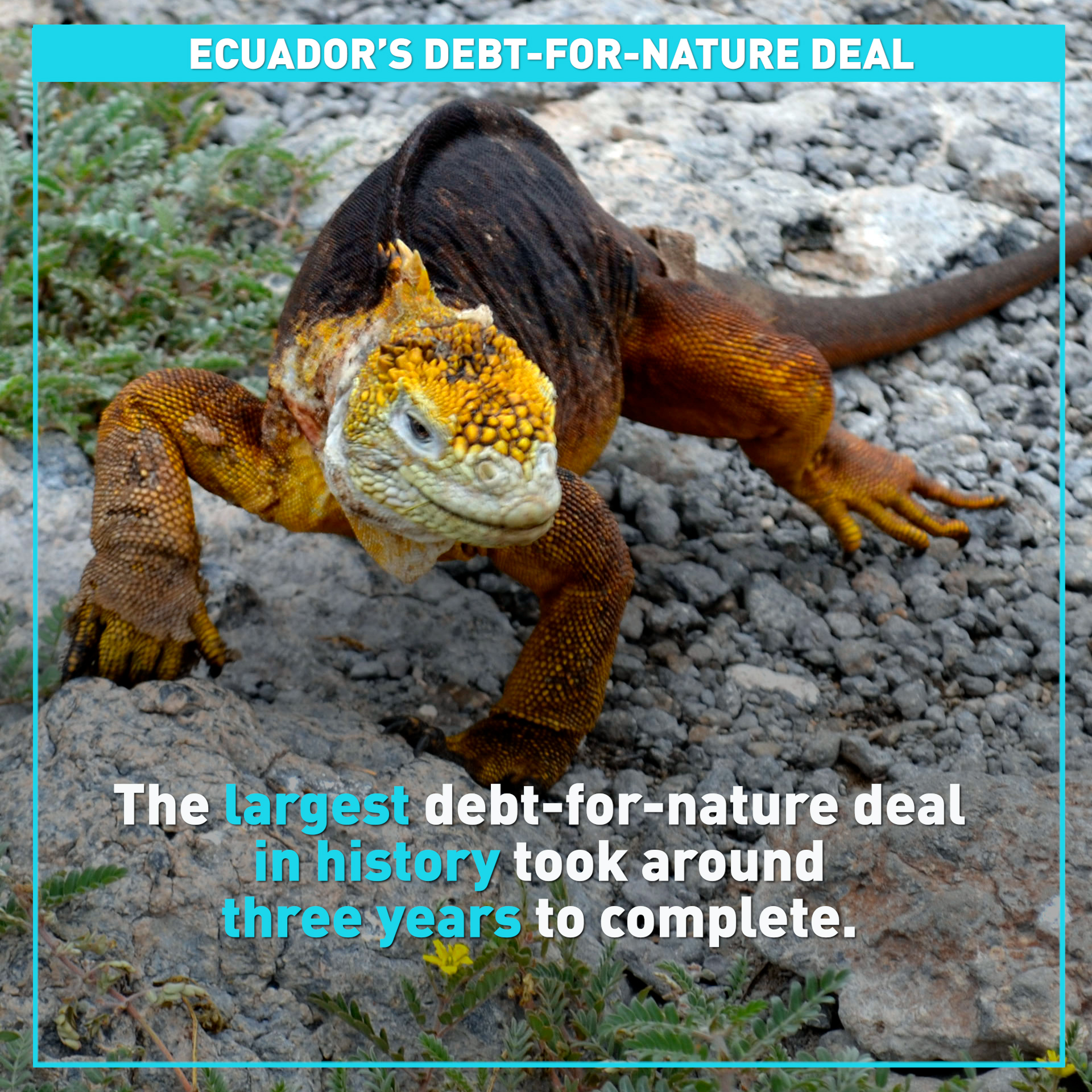 Ecuador gets creative protecting Galápagos with largest ever debt-for-nature deal
