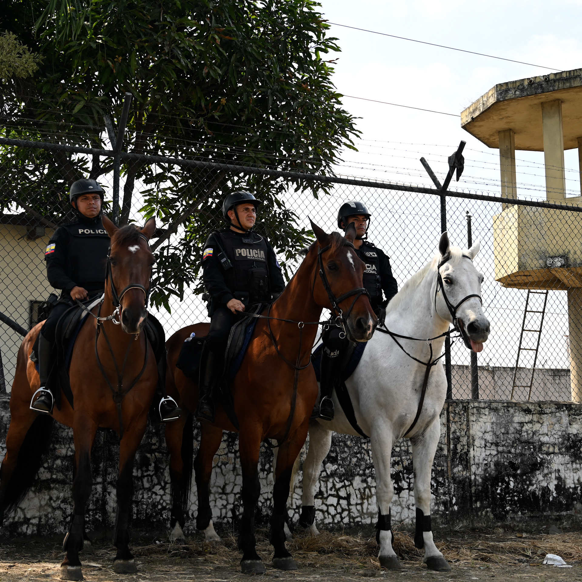 Guards held hostage in Ecuador prisons amid wave of violence 