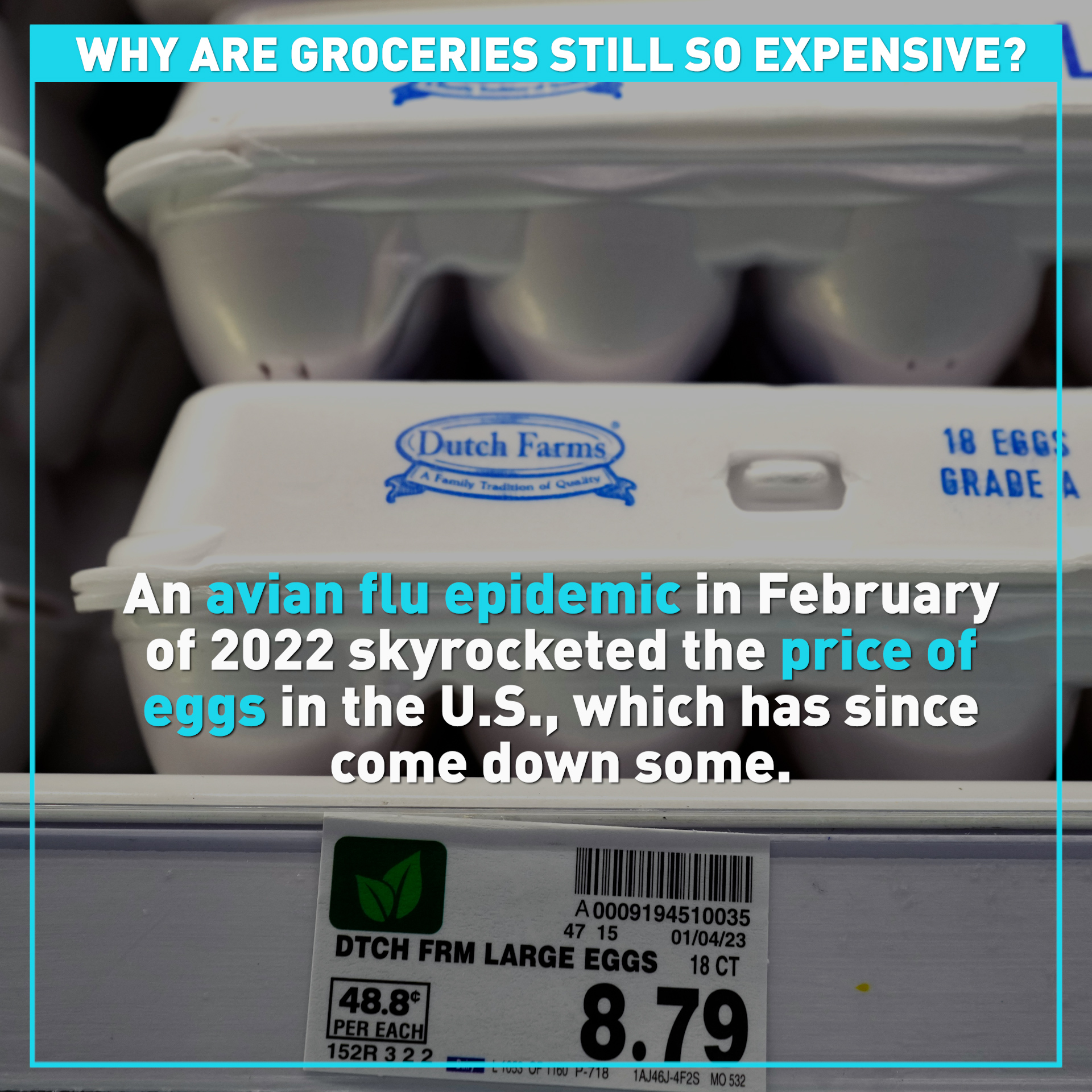 Why are groceries still so expensive worldwide? 