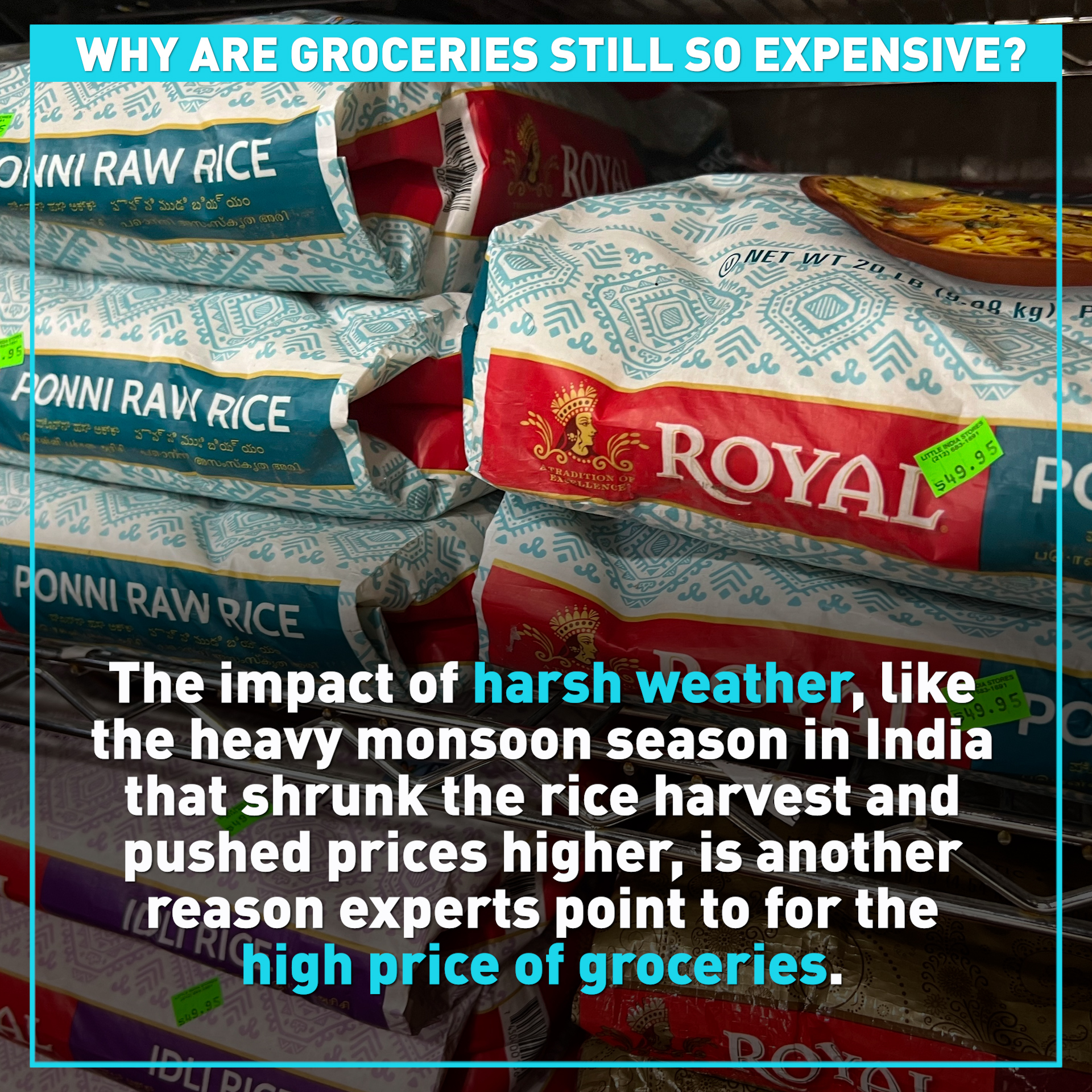 Why are groceries still so expensive worldwide? CGTN