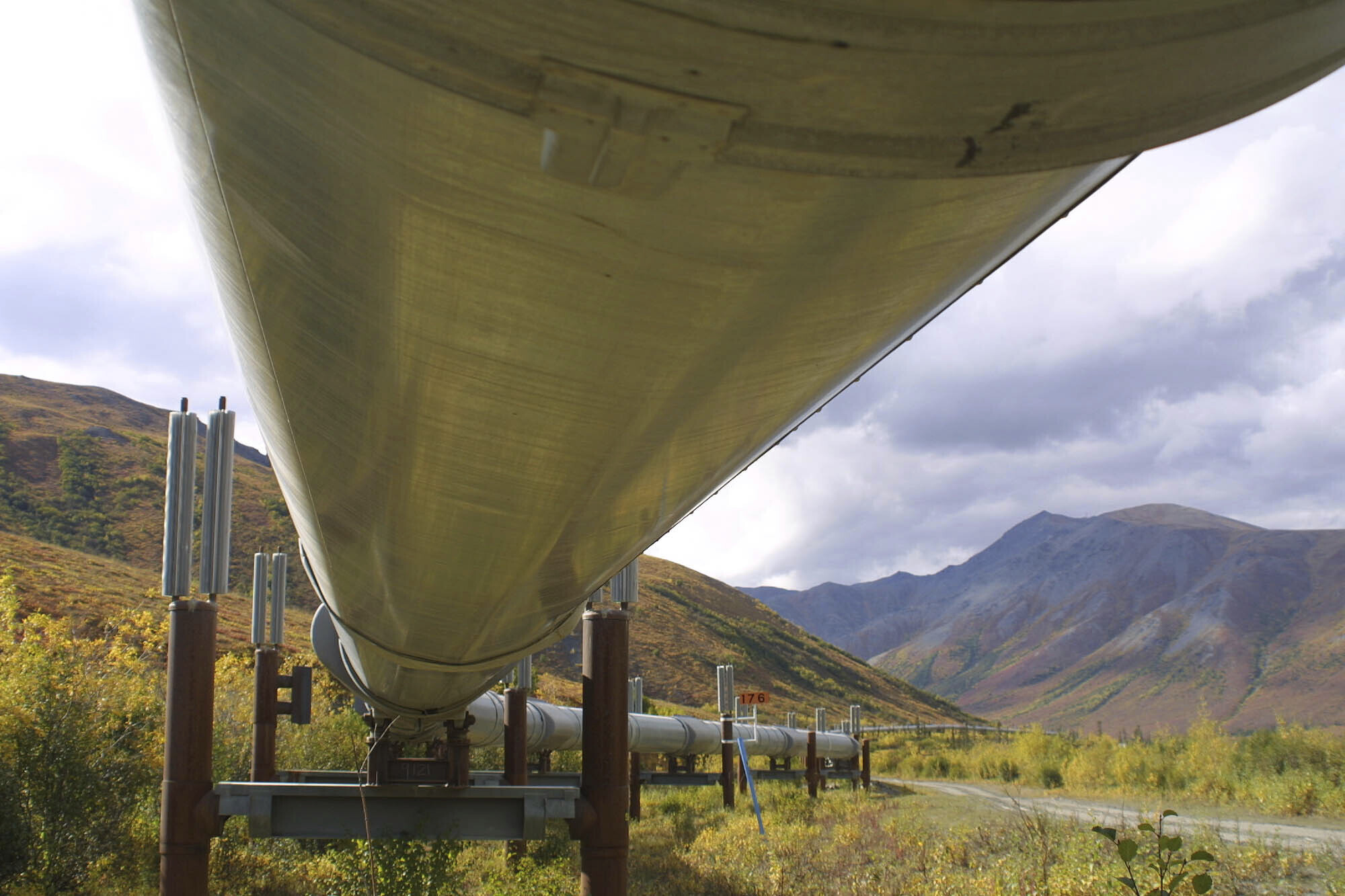 Biden cancels last oil and gas leases in Alaska's Arctic Refuge 