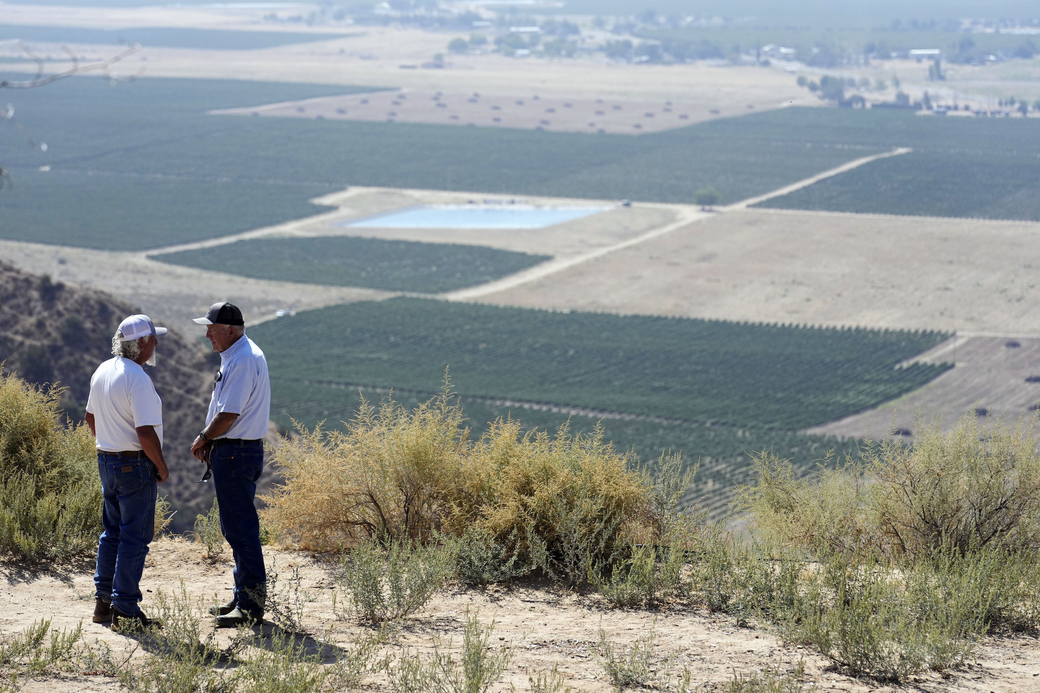 Locals call for a carrot boycott over groundwater usage in California