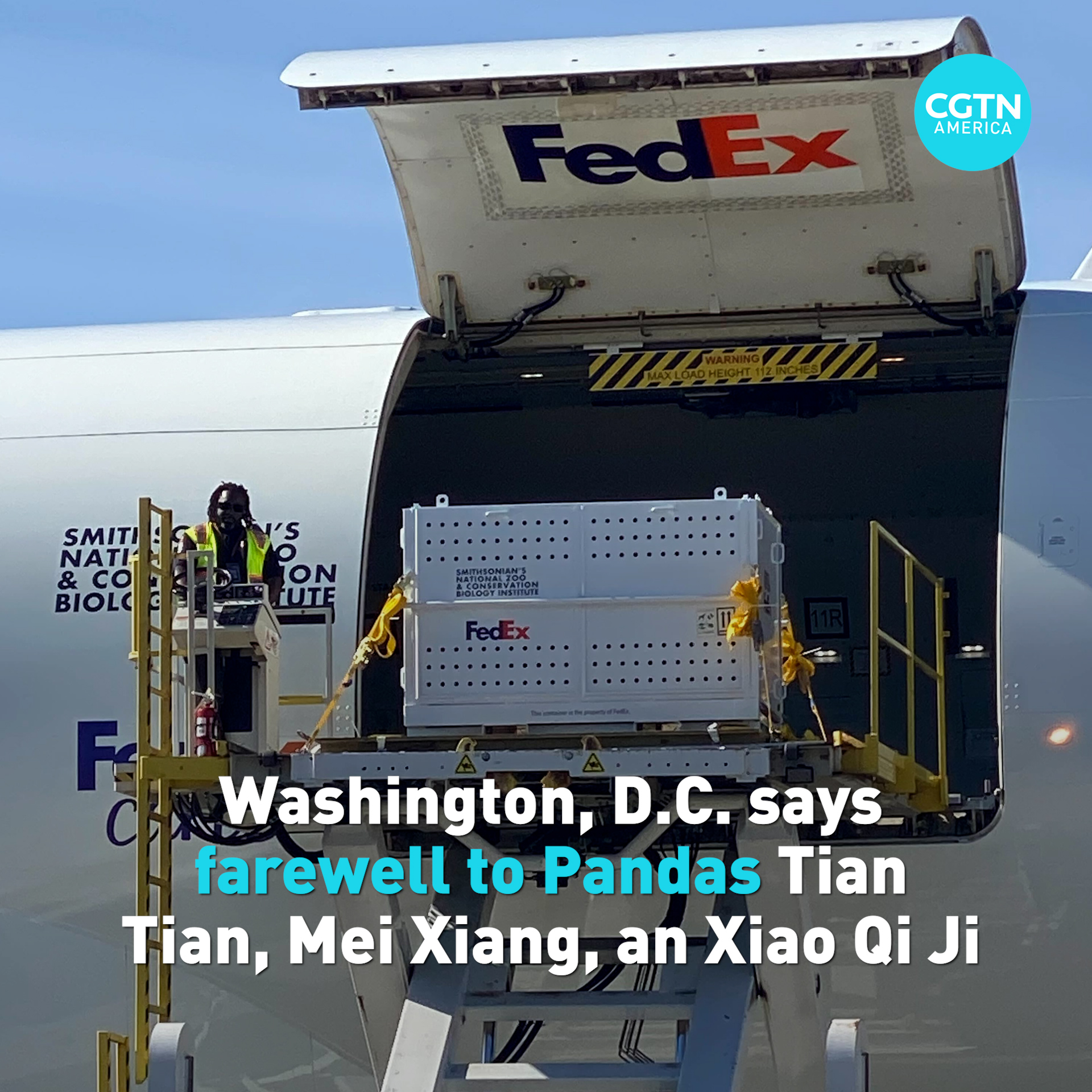 Washington, D.C. says farewell to Giant Pandas