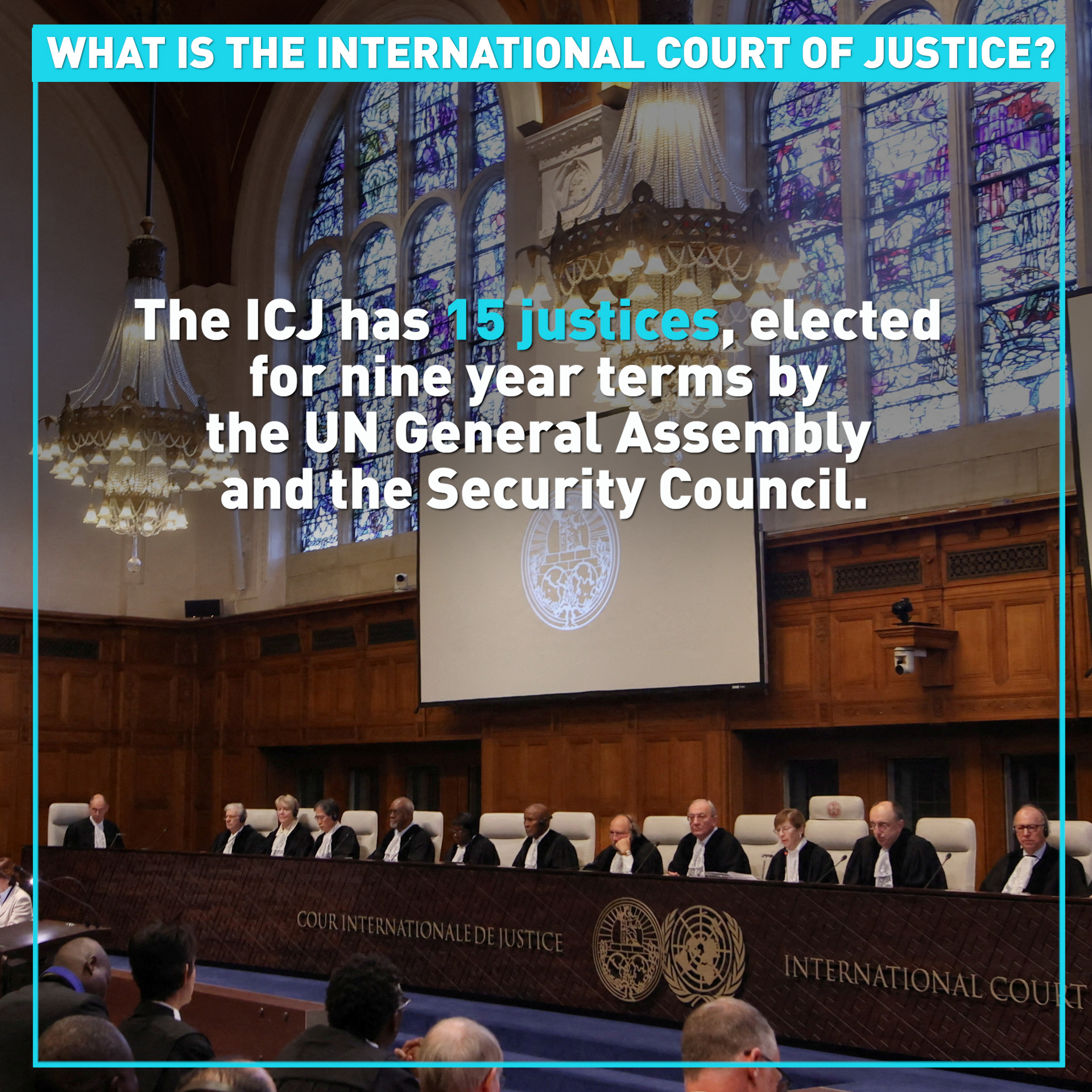 All eyes on UN's ICJ amid South Africa-Israel genocide hearing 