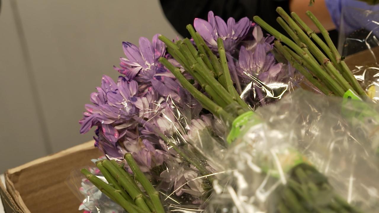 Miami leads as major flower importer during Valentine’s Day CGTN