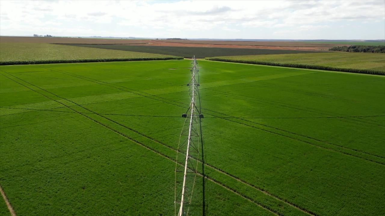 Drought in Brazil leads to rapid inflation - CGTN