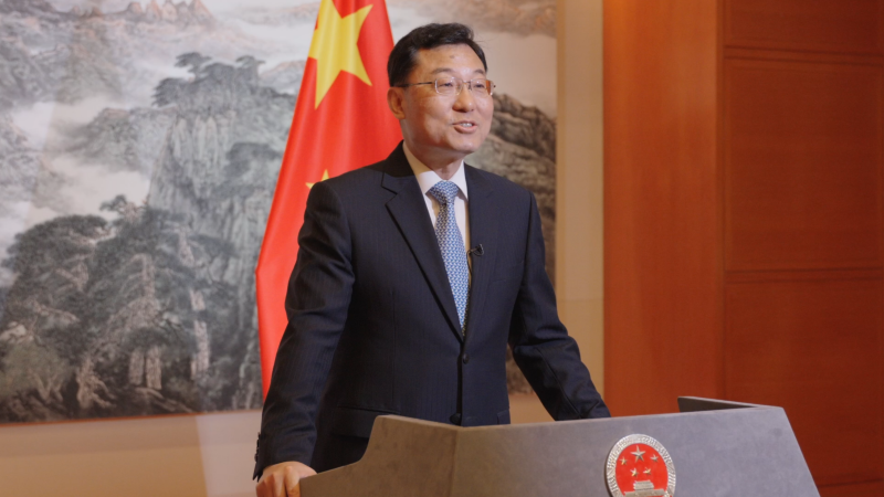 Xie Feng delivers remarks at the 20th Chinese American Film Festival