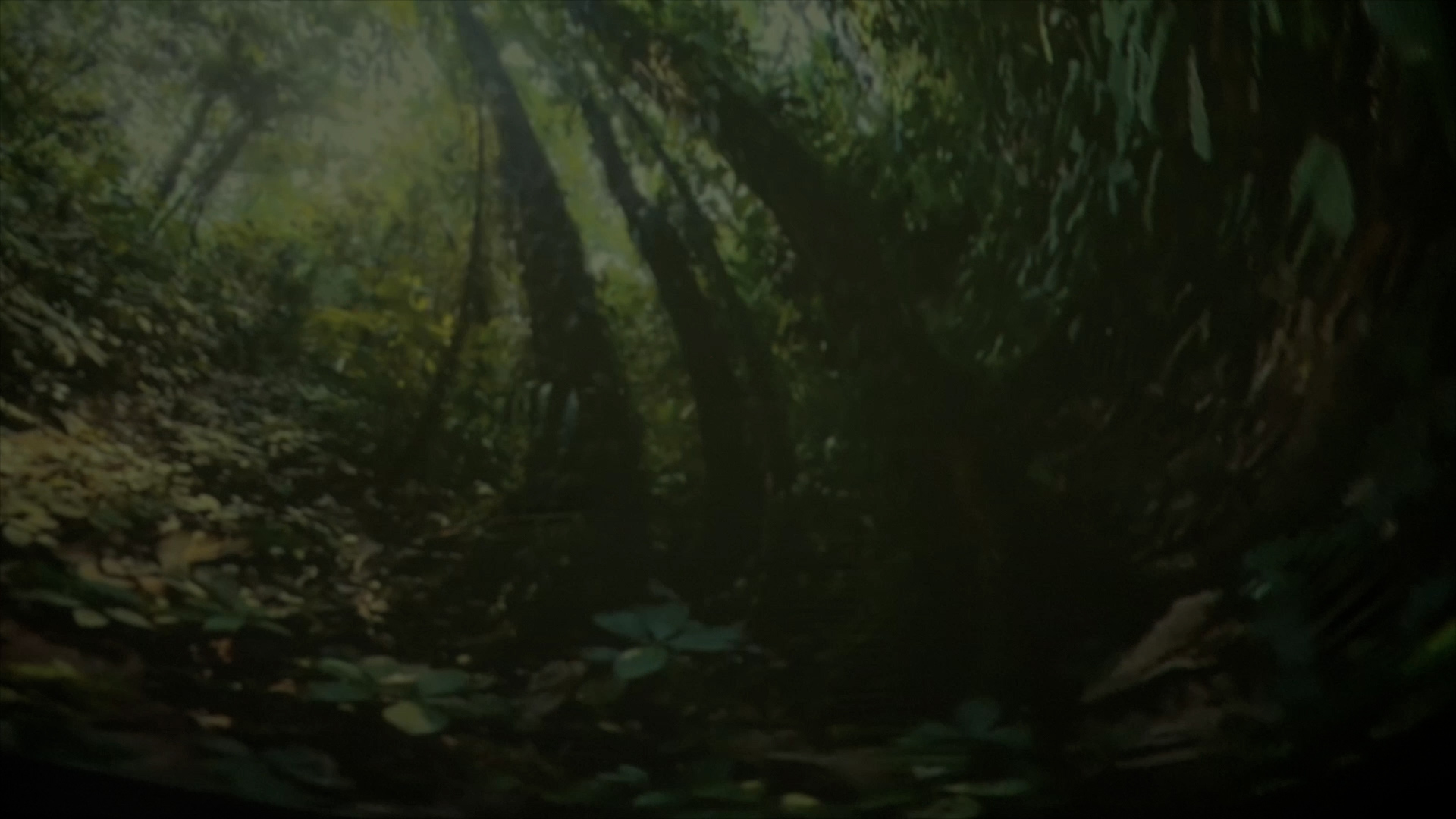 What happened at Colombia's Amazon rainforest summit?