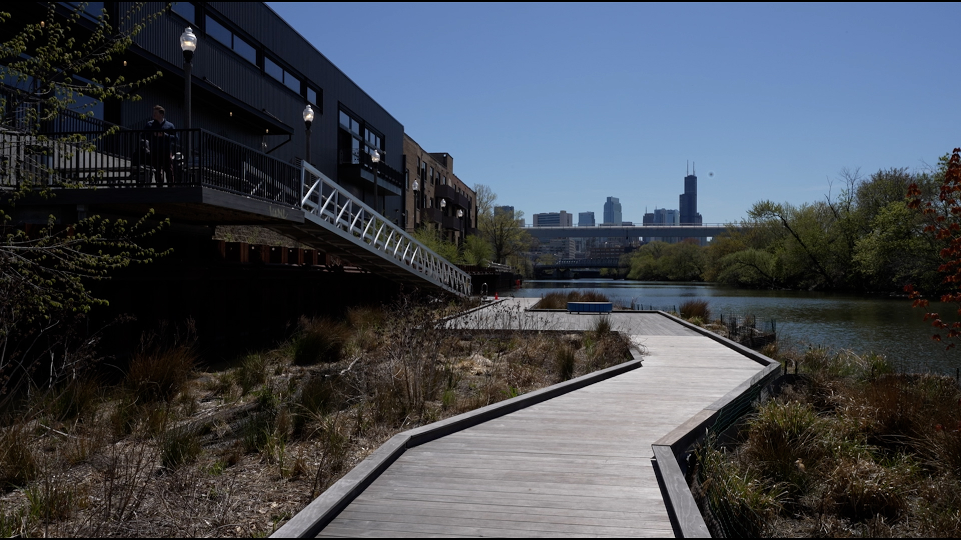 Chicago implements greener landscape to bring shade to urban sprawl 