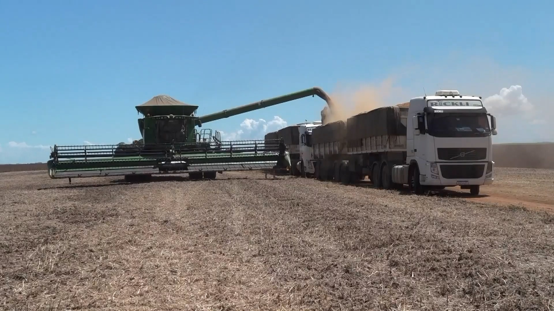 China turns to Brazil for record soy imports