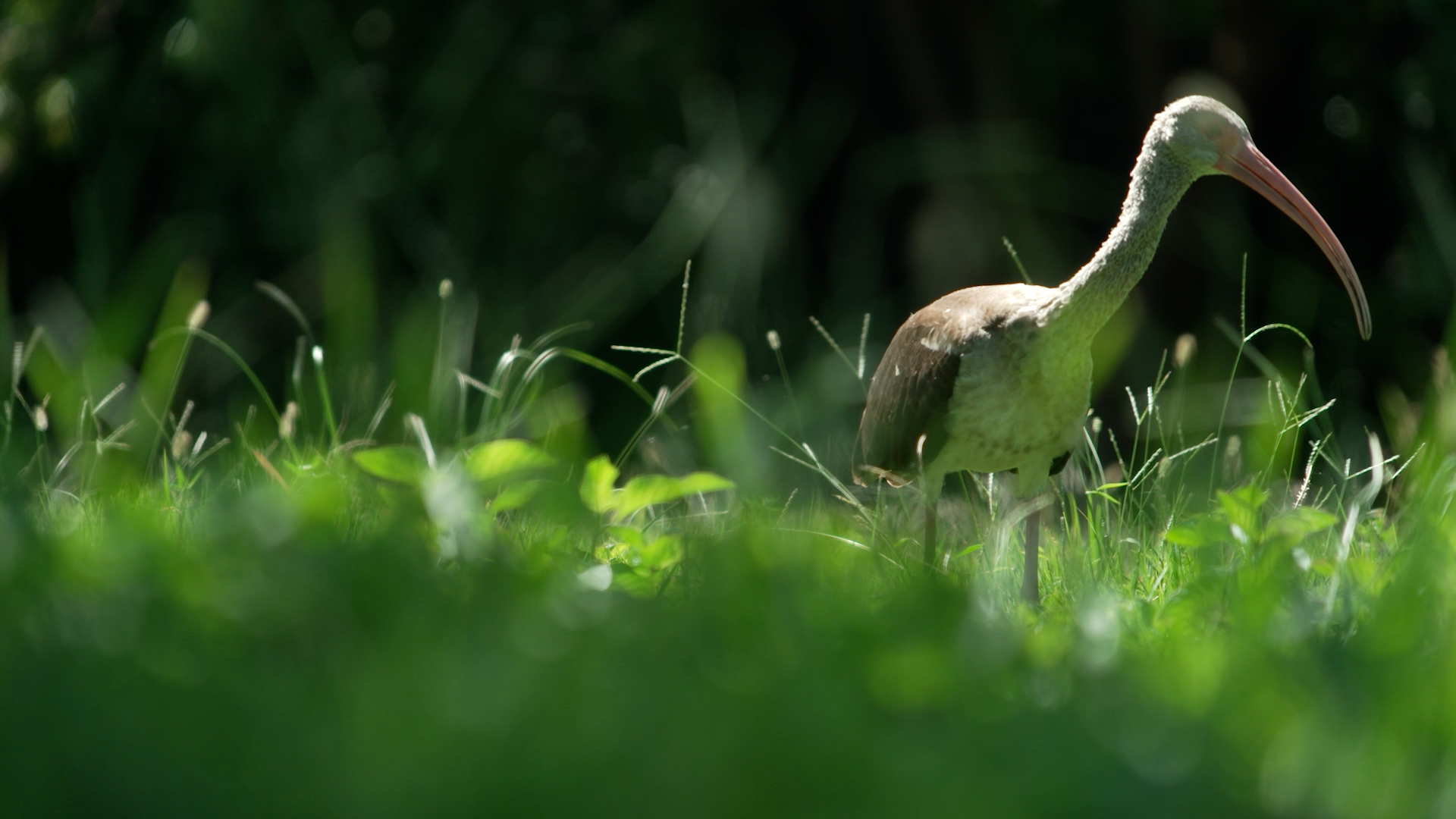 National Parks see reduced services during US government shutdown