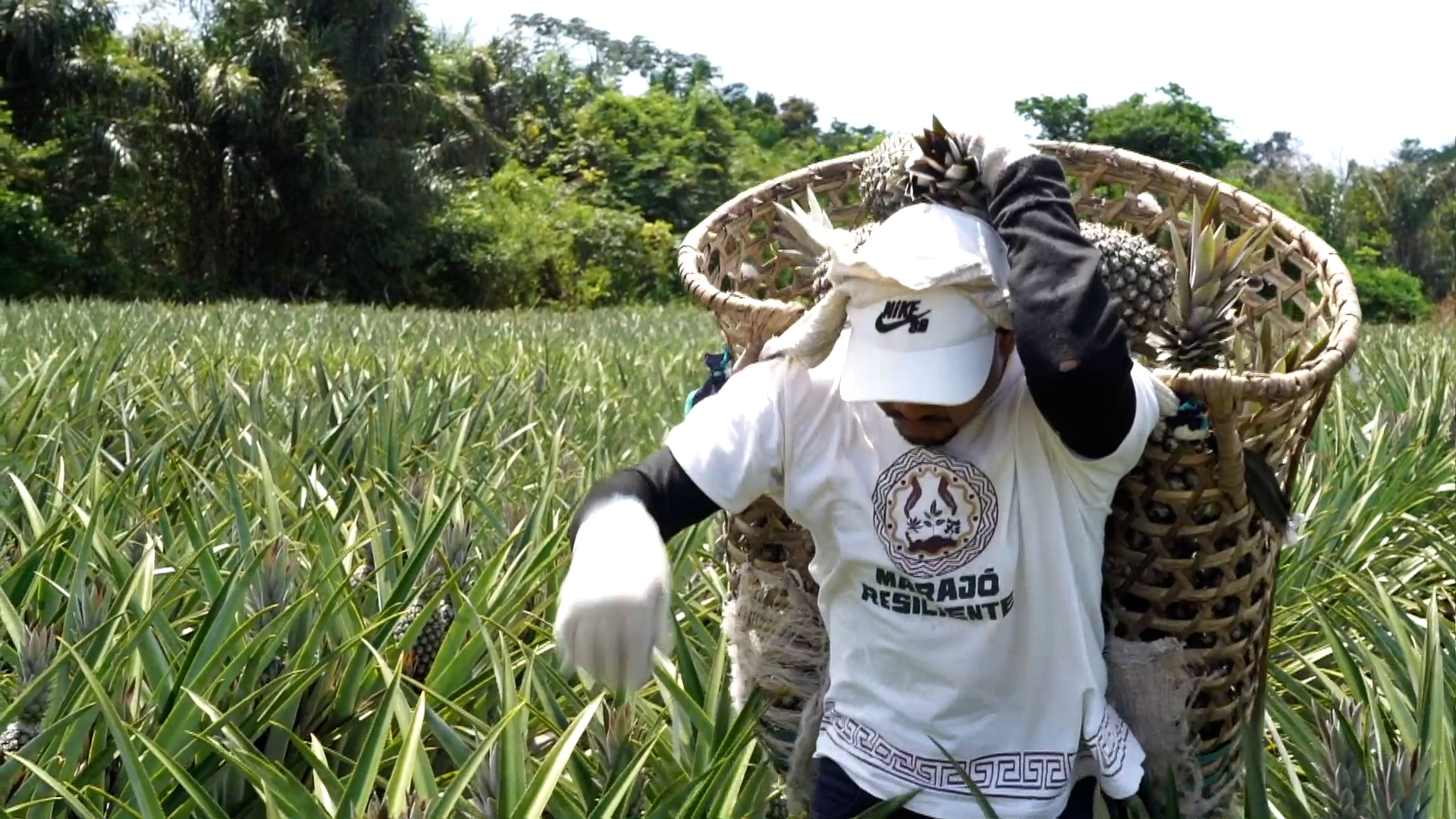 Amazon communities hope COP30 brings change