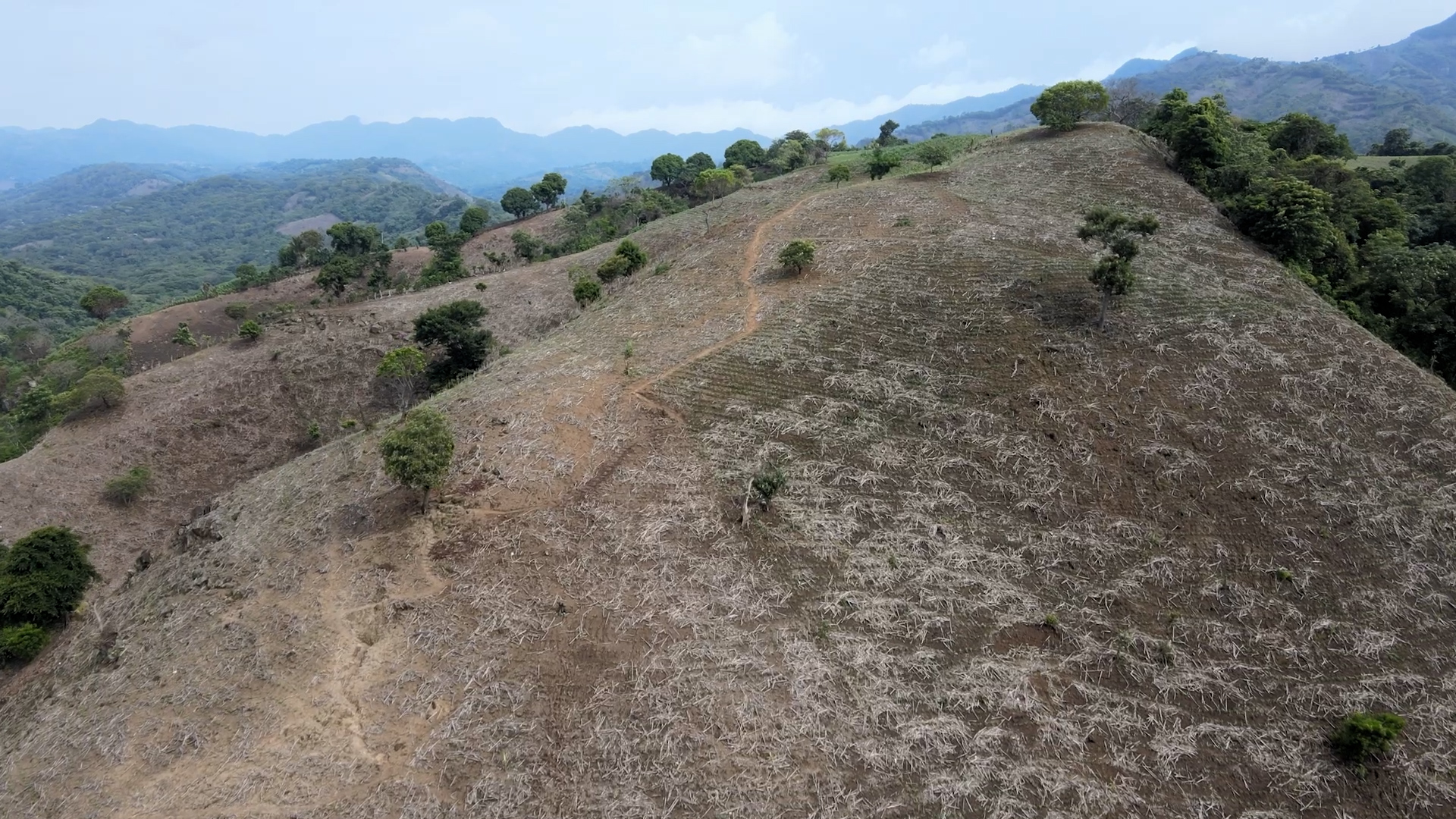 Climate change deepens crisis in Central America’s 'Dry Corridor'