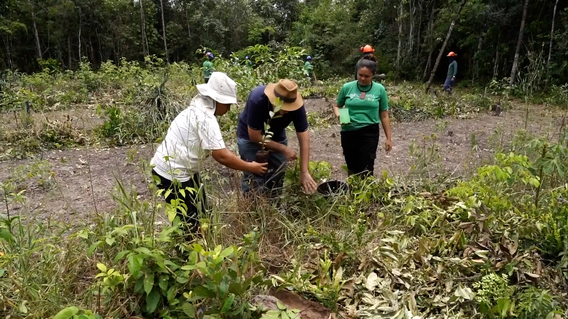 Communities on Brazil’s Marajó Island tackle climate change