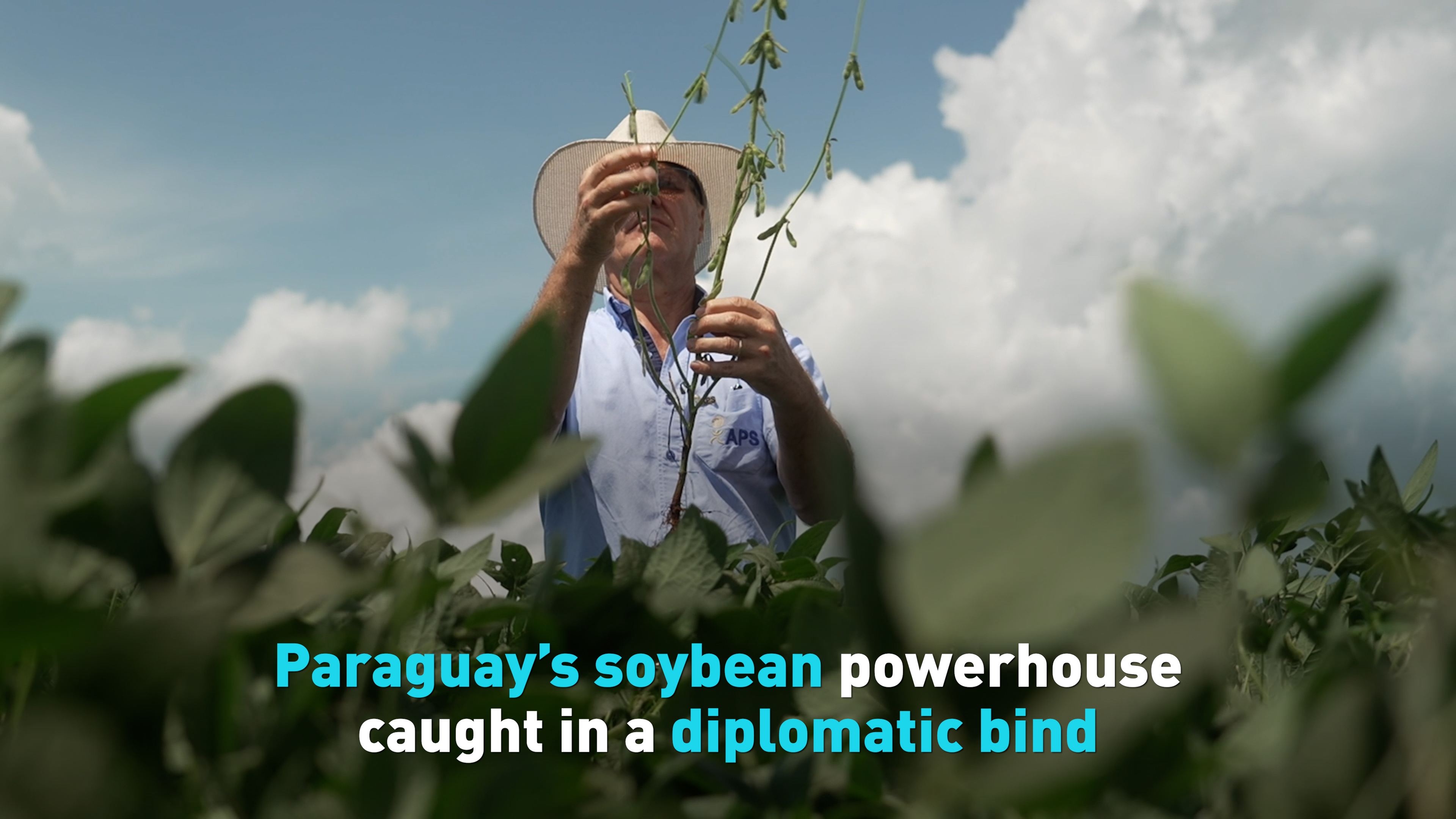 Paraguay’s soybean powerhouse caught in a diplomatic bind