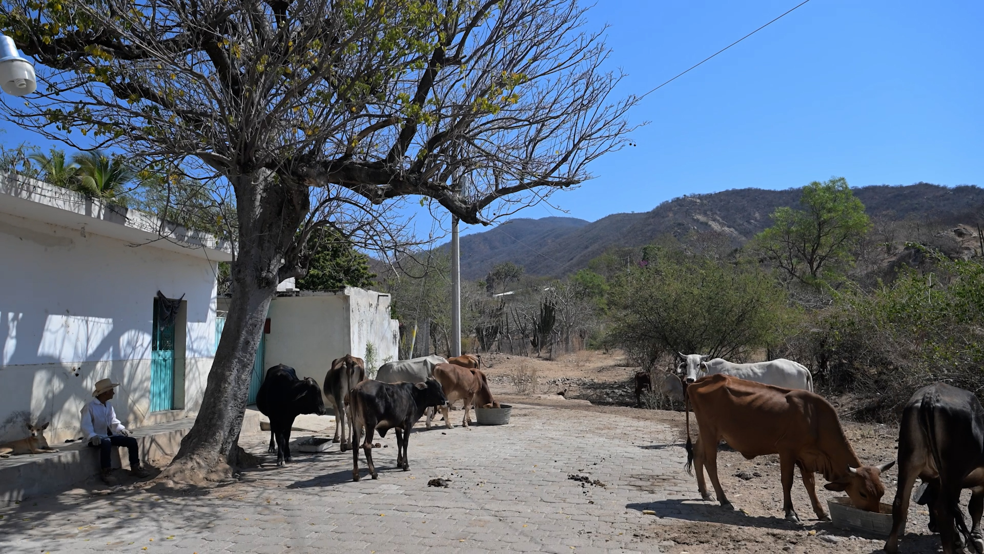 See how China’s poverty model inspires rural Mexico