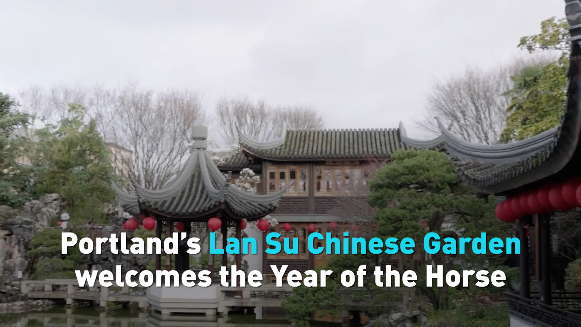 Portland’s Lan Su Chinese Garden welcomes the Year of the Horse
