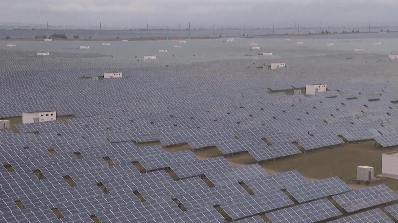 China leads global transition to renewable energy