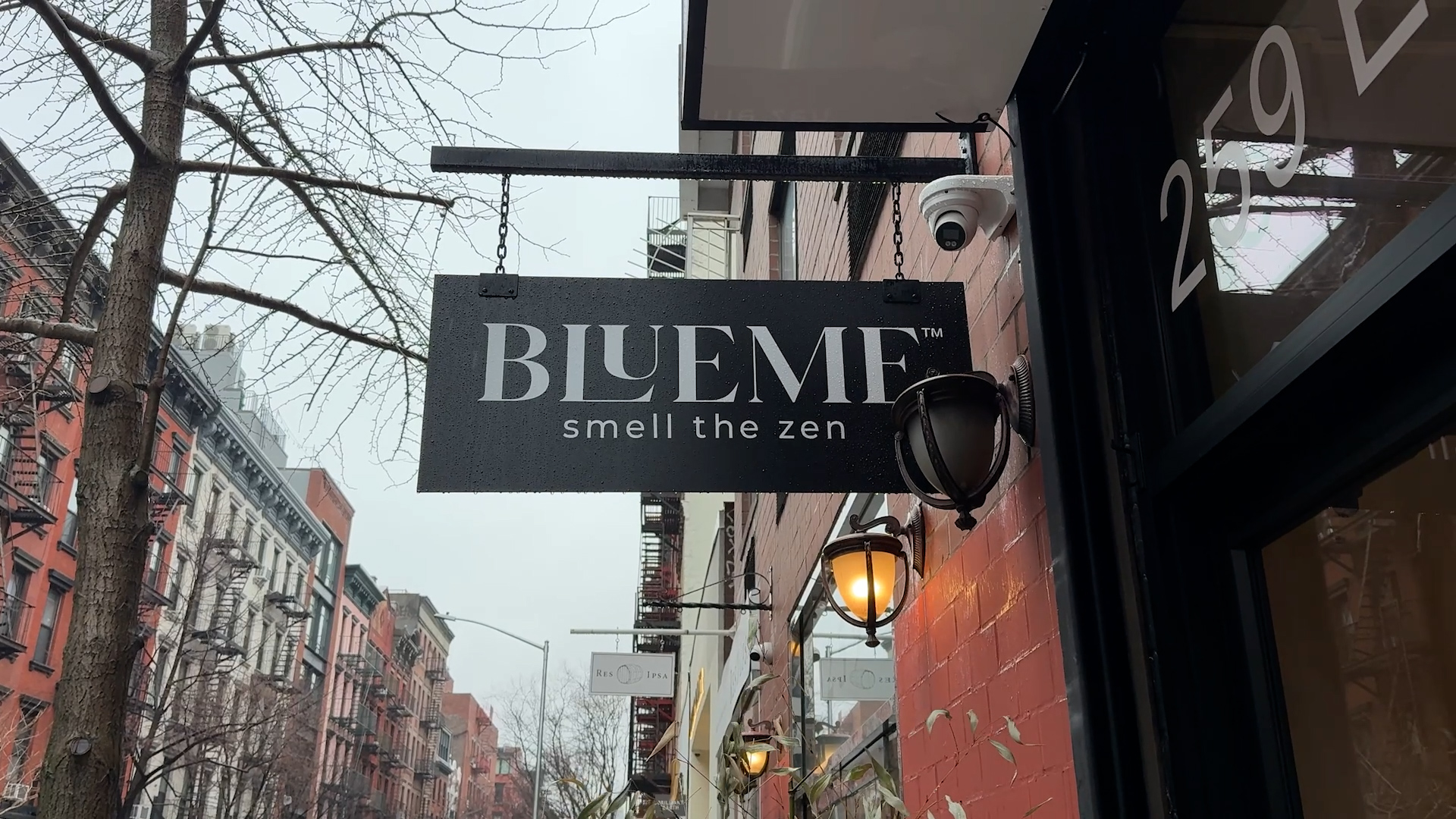 From basement startup to multi-million dollar brand