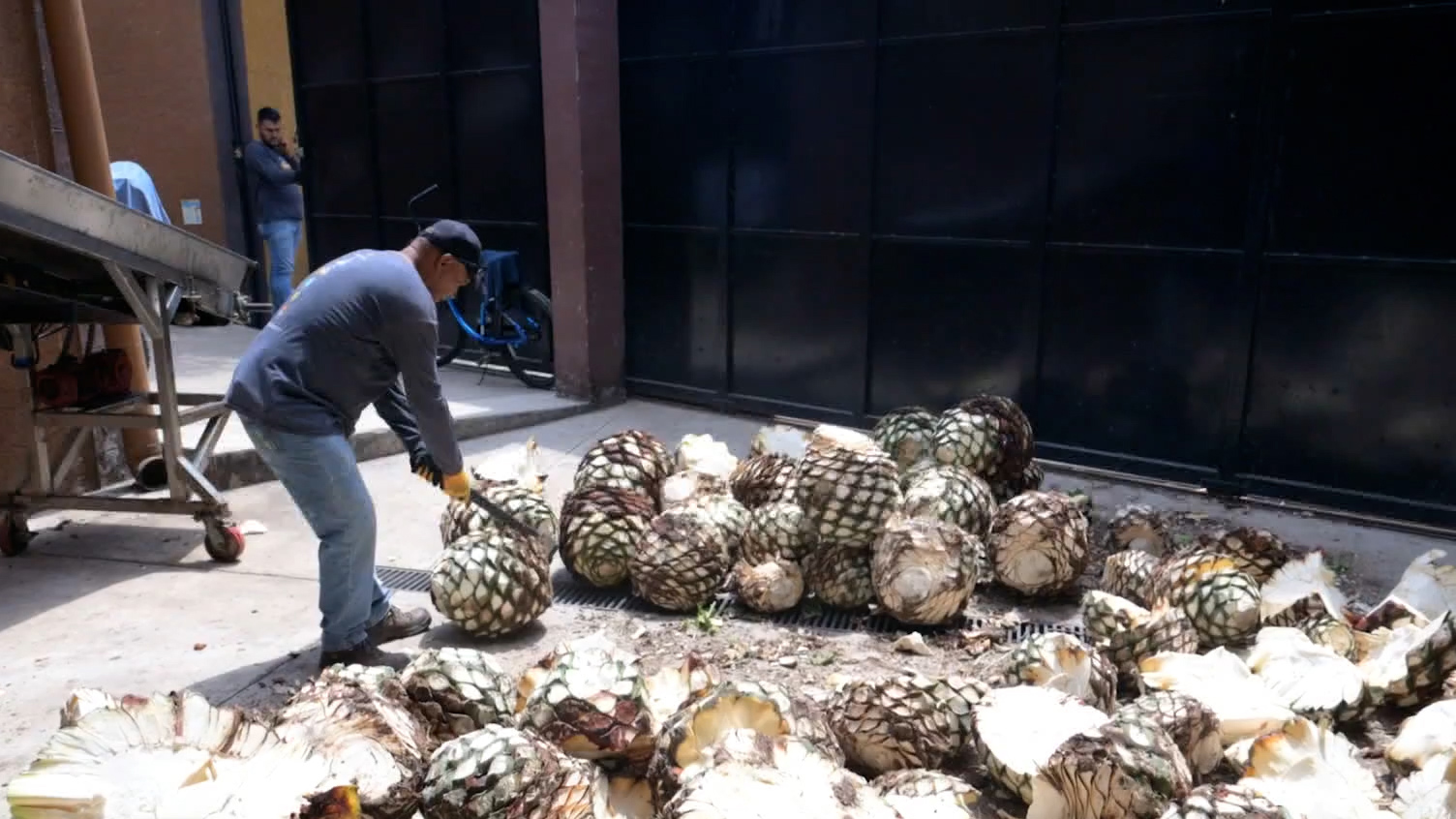 In Mexico, 2026 FIFA World Cup is also about tequila