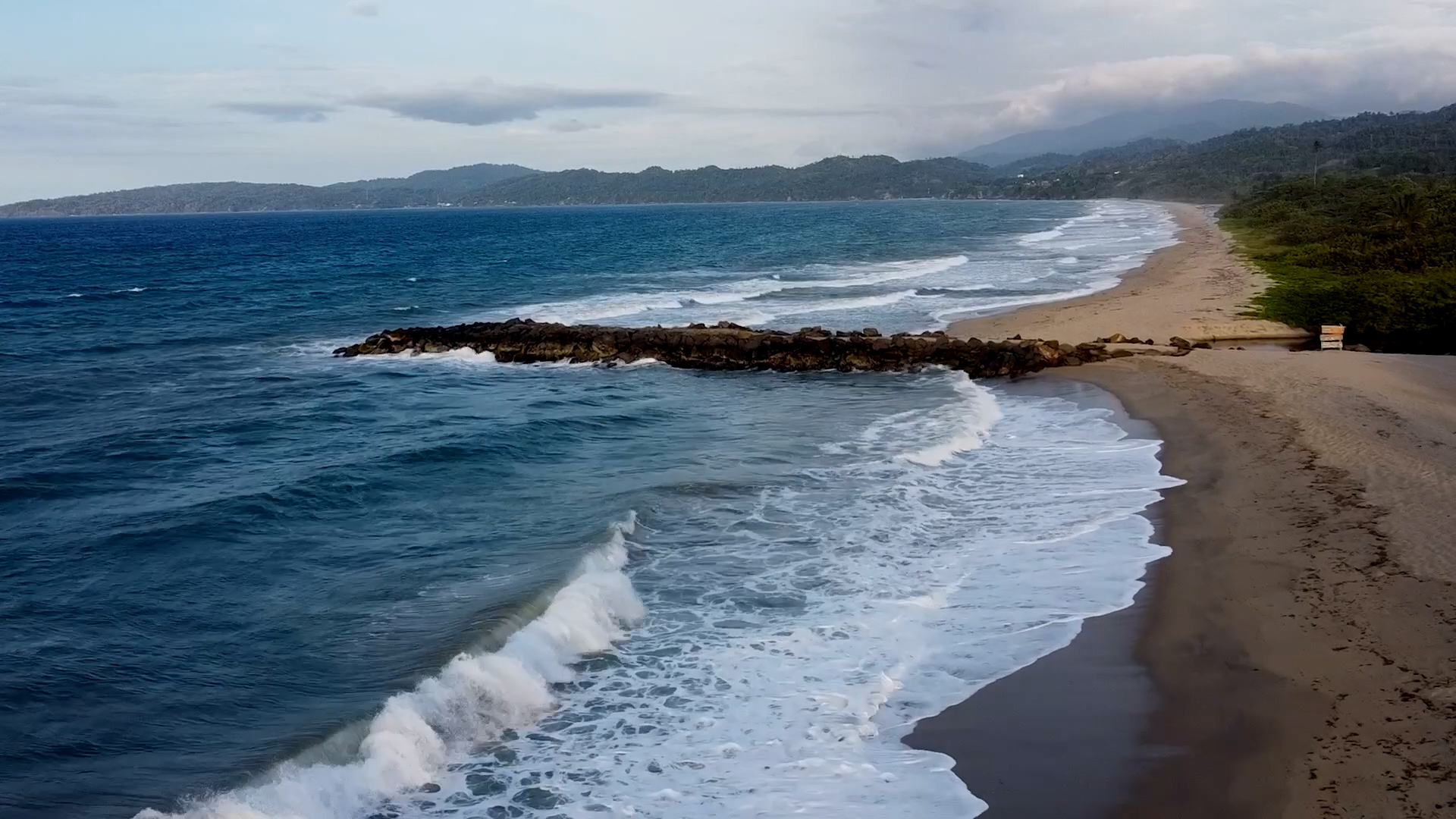 High Seas Treaty moves toward implementation