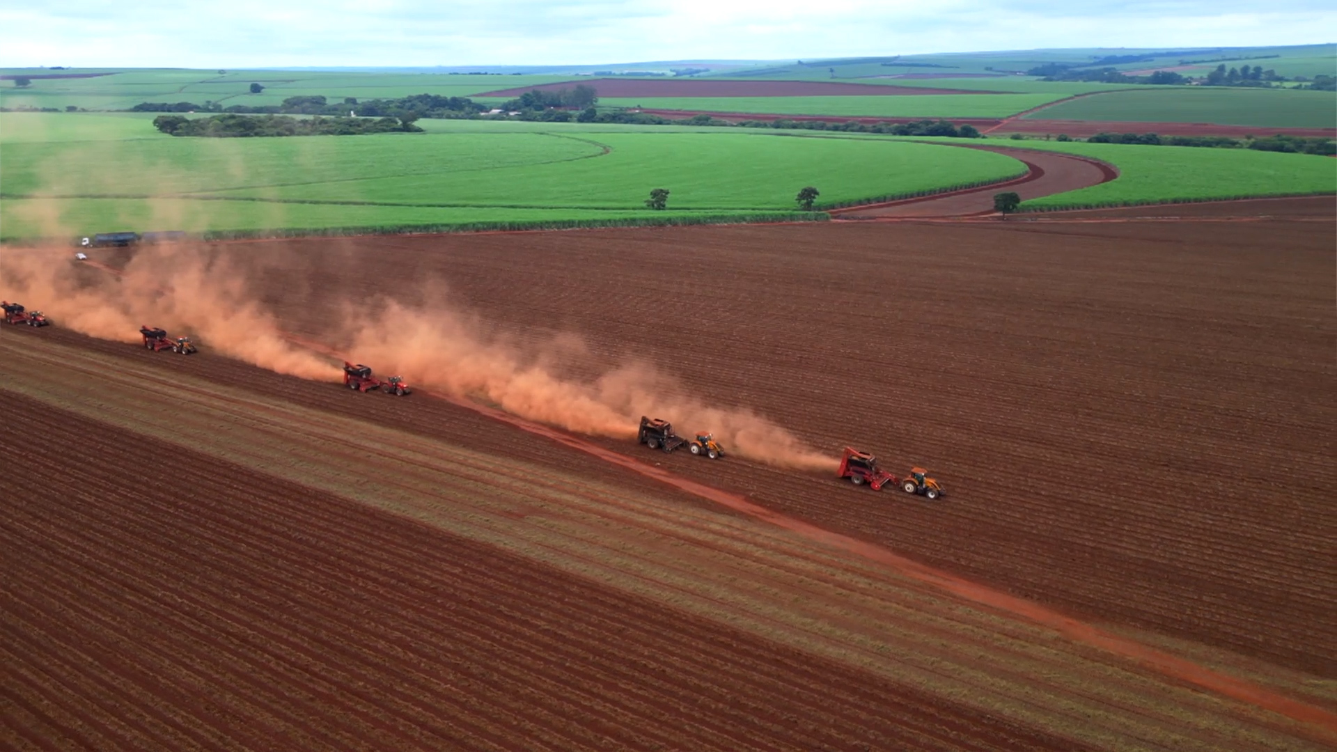 Brazil sees surge in peanut exports to China