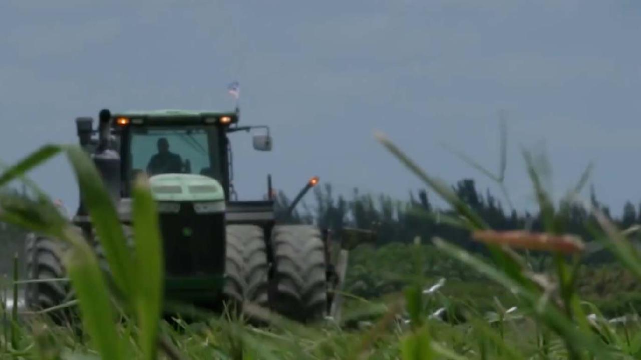 US agriculture under pressure